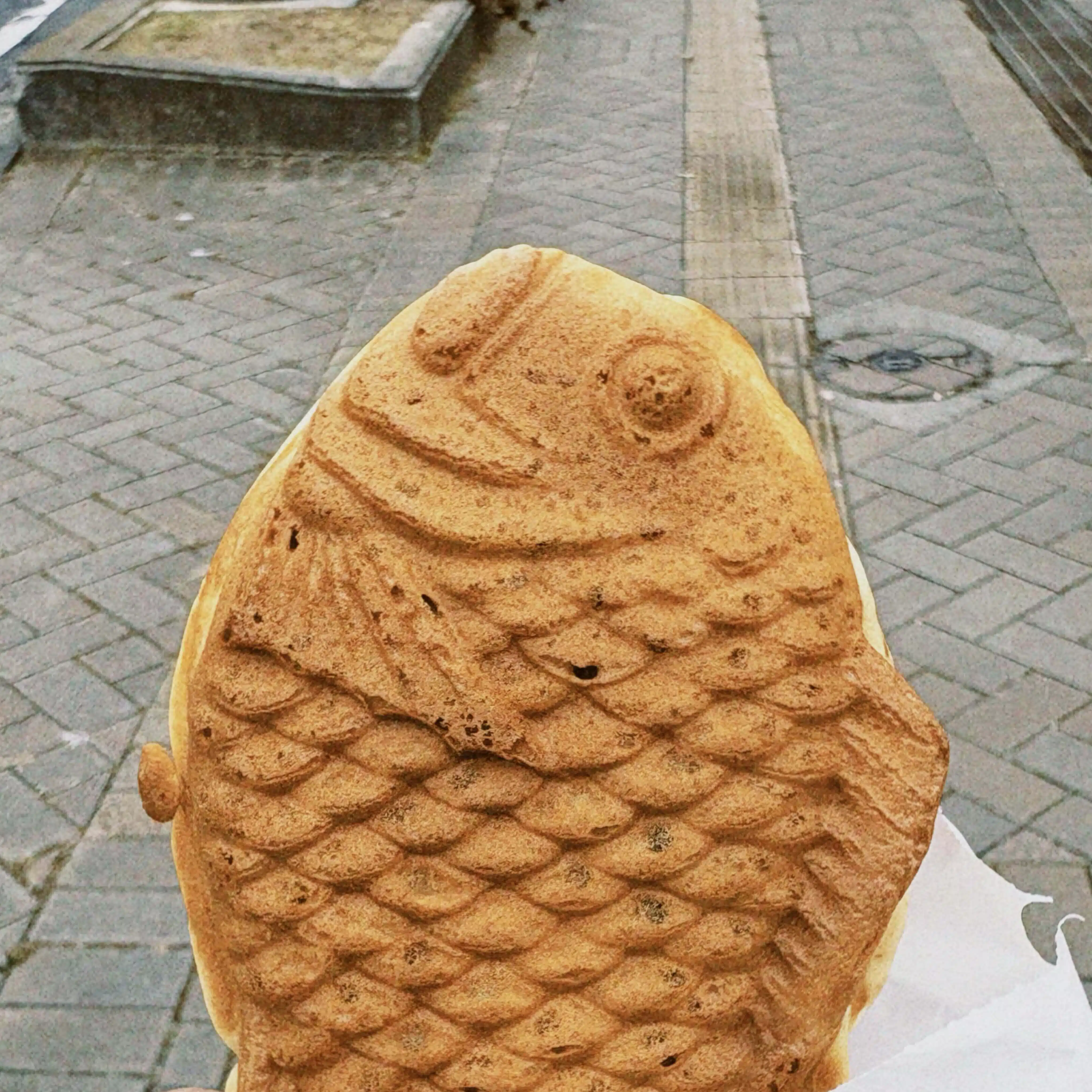 多面たい