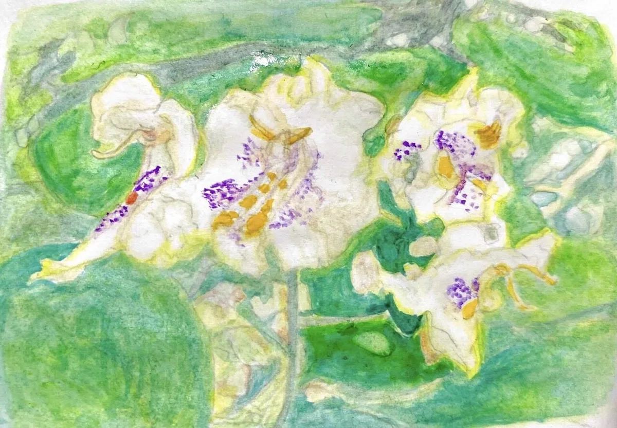 画像