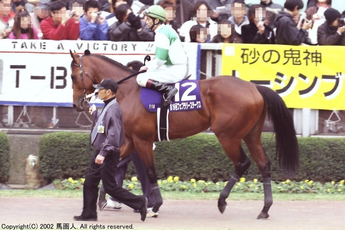 アグネスデジタル 2002年フェブラリーS 現地的中単勝馬券(終了