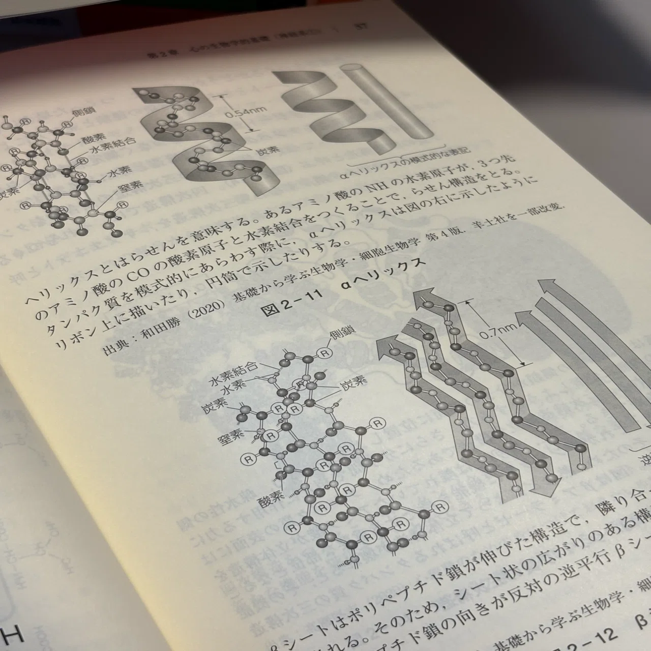 放送大学の心理学テキスト12冊をざっと読んだ感想｜まさむ