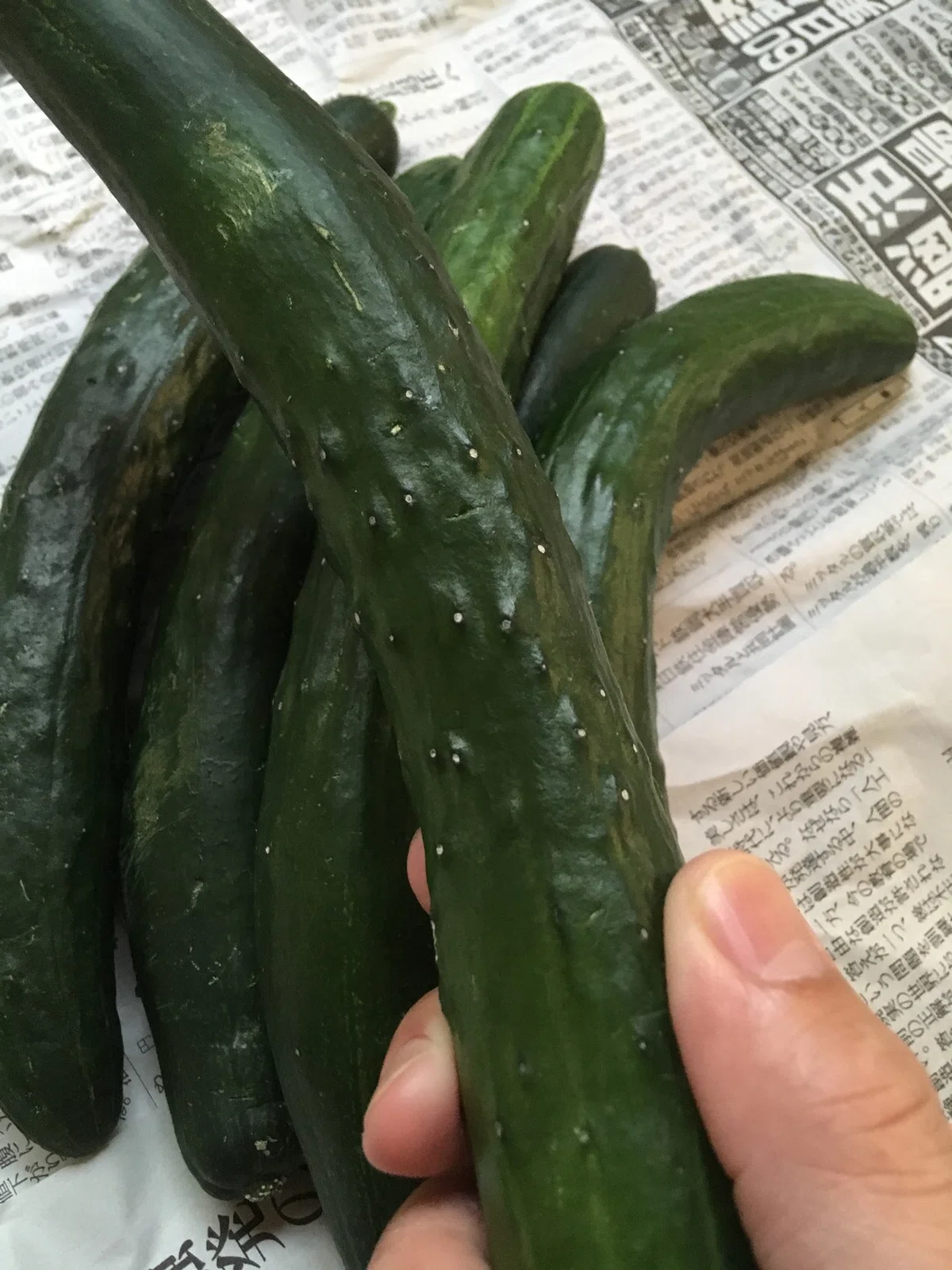 画像6