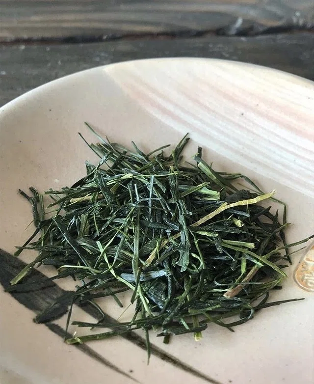 画像15