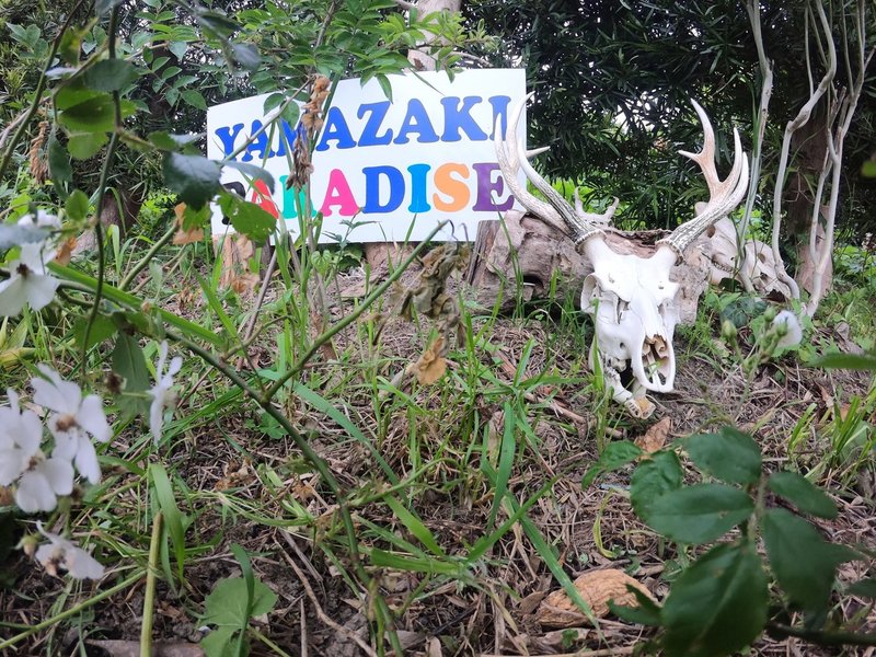 画像40