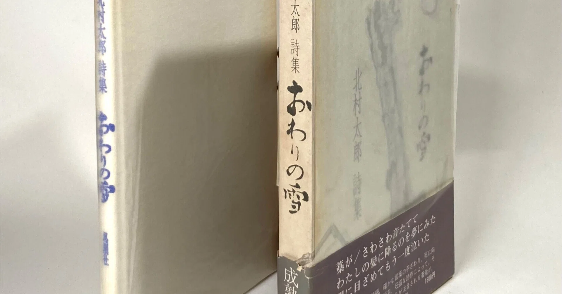 北村太郎の仕事 全3巻揃い 世の中にはいやな仕事が二つあっておれはその両方をやったんだ｜daily