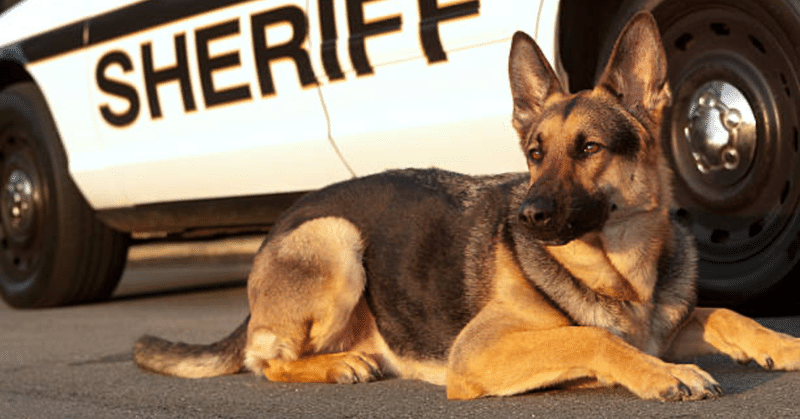 注意したがる先輩たちは自粛警察とちょっと似ている umi note