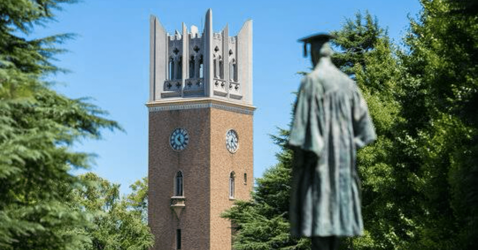 早稲田大学教育学部の理系に進んでその後｜限界エンジニアYK