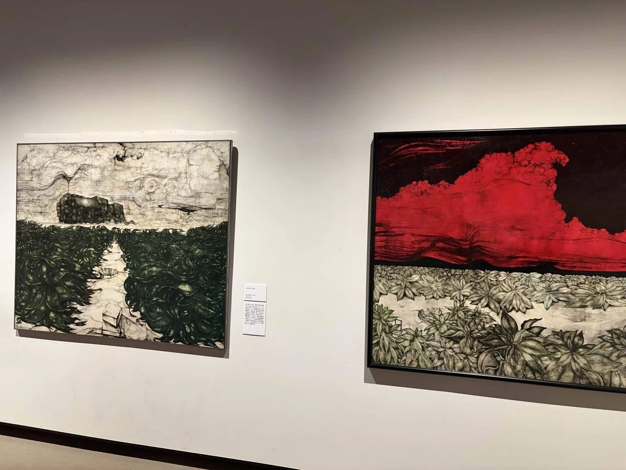 Hiroshi Nakamura Exhibition: The Seriousness of the Shizuoka