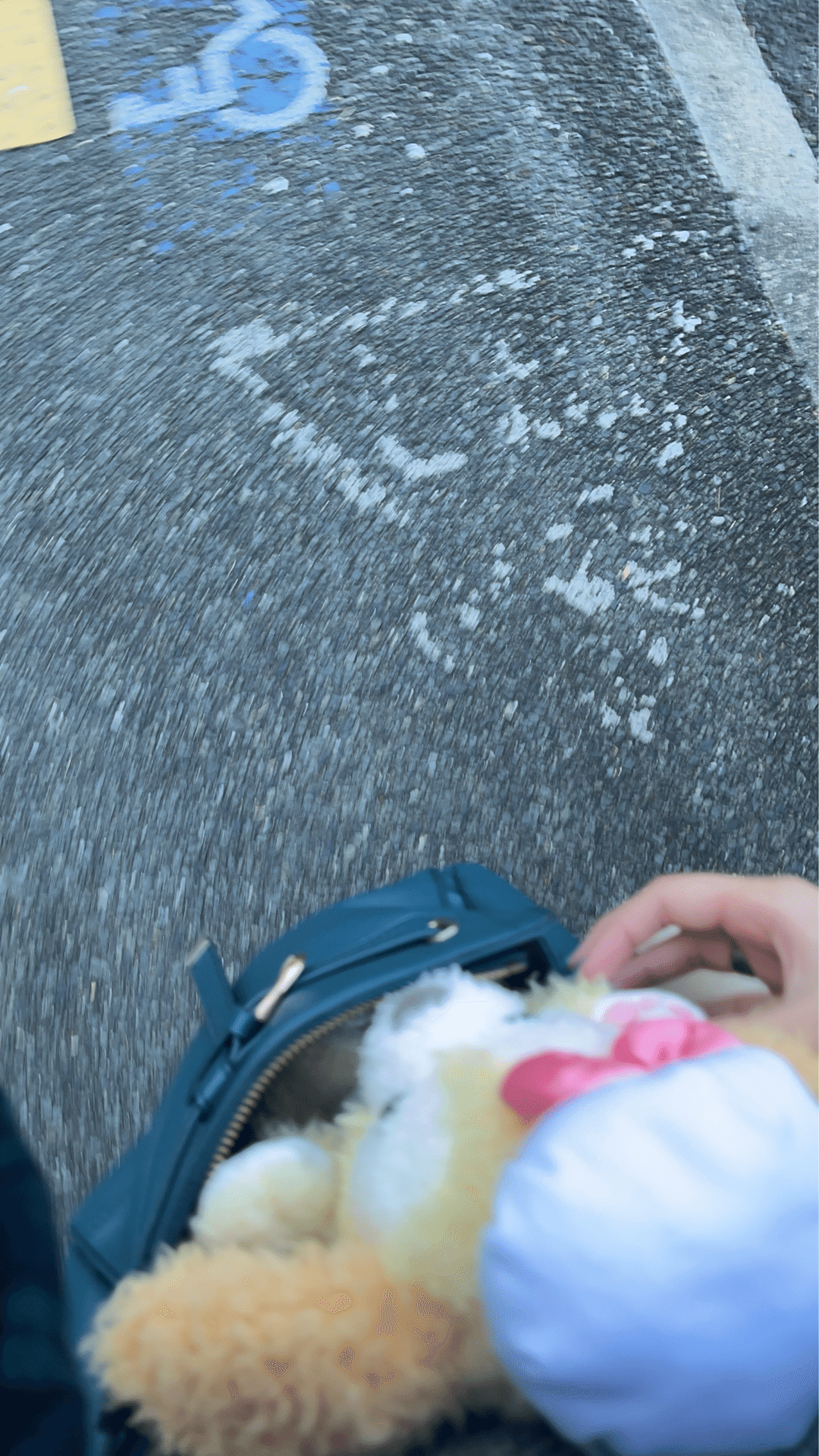 突発イベント発生】いきなり翌日ディズニーランドに行くことになりまし