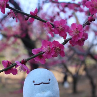 おにぎり｜note