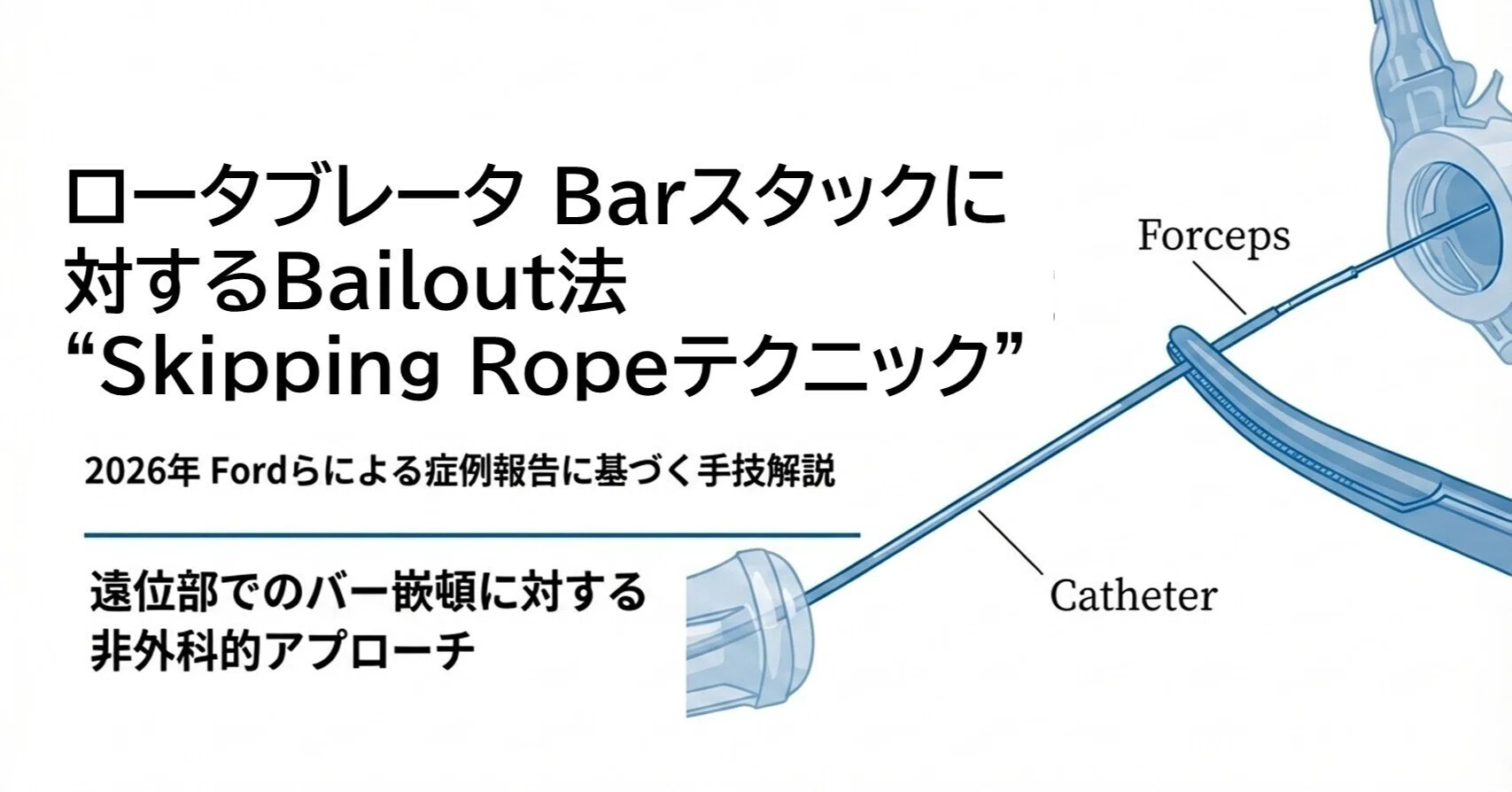 SAFE Troubleshooting Guide 1 機械・構造的合併症編 SAFE Troubleshooting Guide Volume1 機械・構造的合併症編 | 寺本