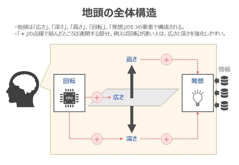 地頭の全体構造