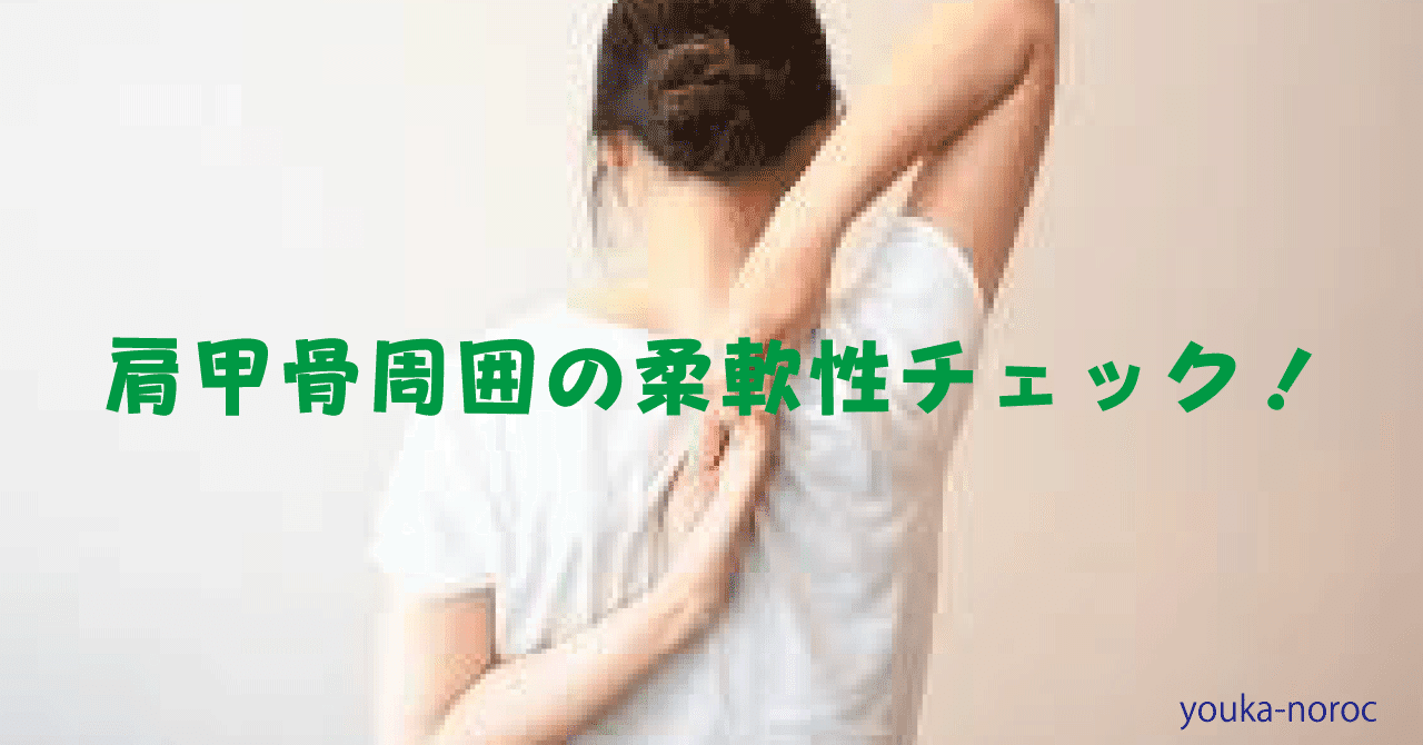 肩甲骨周囲筋 の新着タグ記事一覧 Note つくる つながる とどける