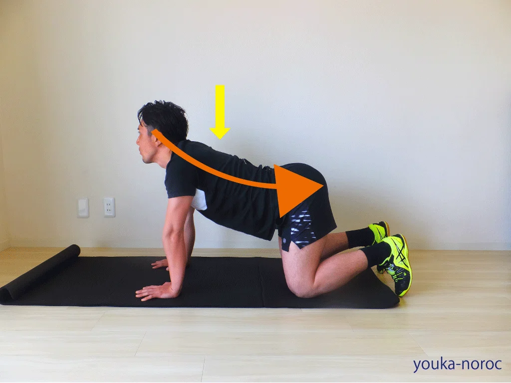 Adaptability Simple Pic Essential for Good Posture! Checking Scapular Flexibility!|YOUKA-F