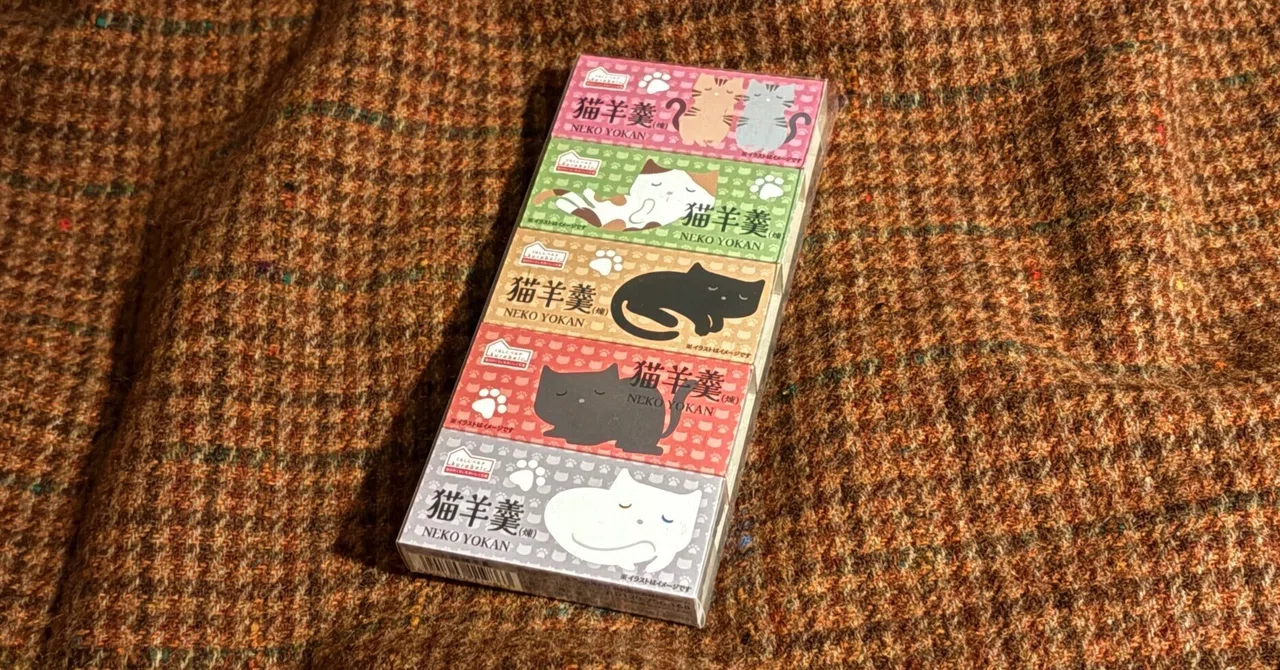 はたして猫は羊羹を好むのであろうか？（日記20260222SUN）｜あい