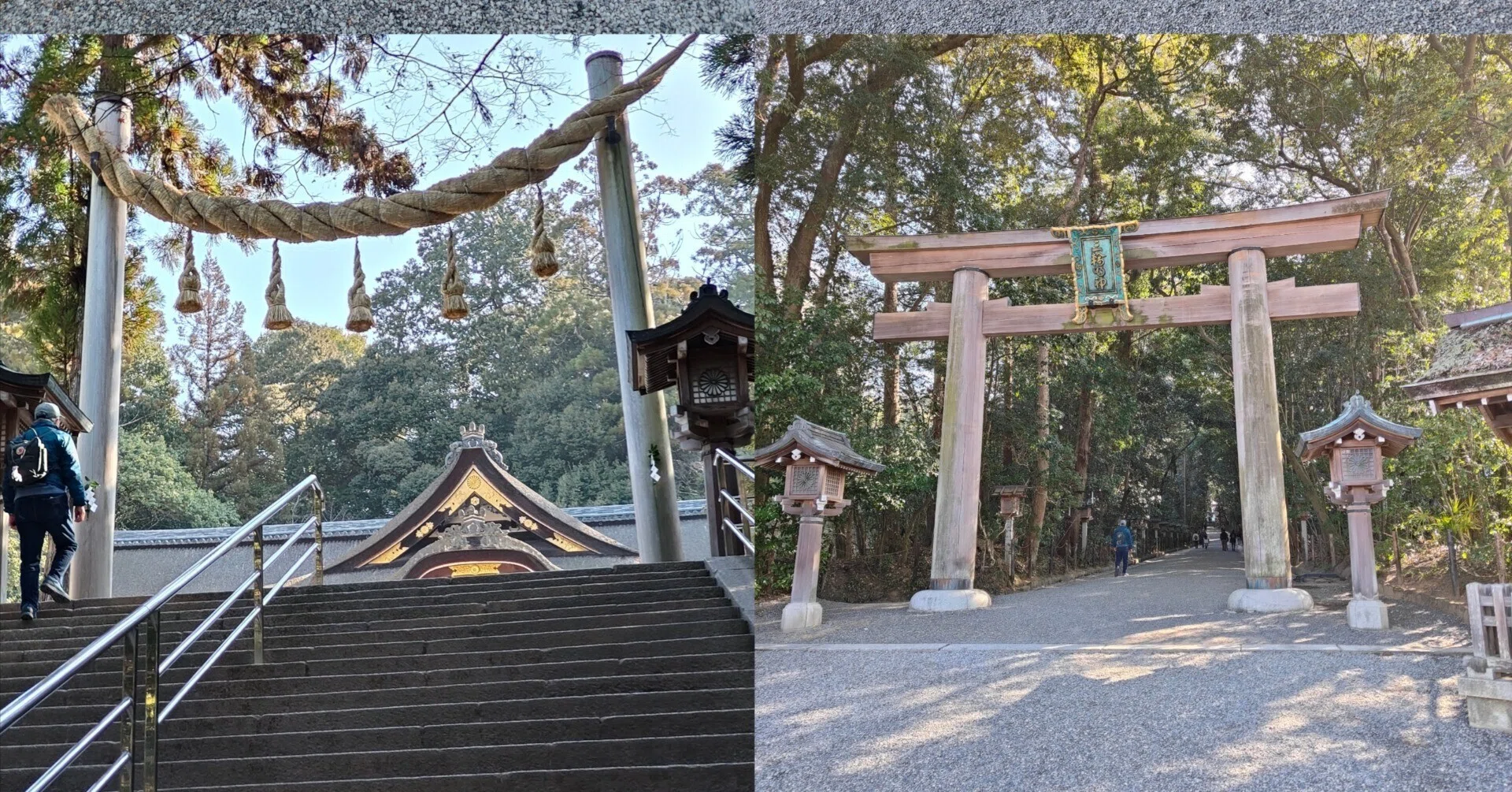 しめ縄と鳥居の違い｜としさん