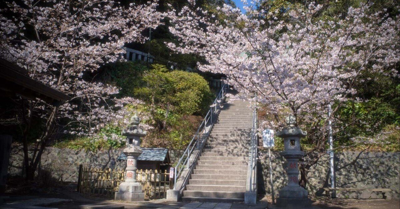 甘縄神明神社の玉縄桜 | RICOH GR III HDF｜borichan | 旅するカメラ
