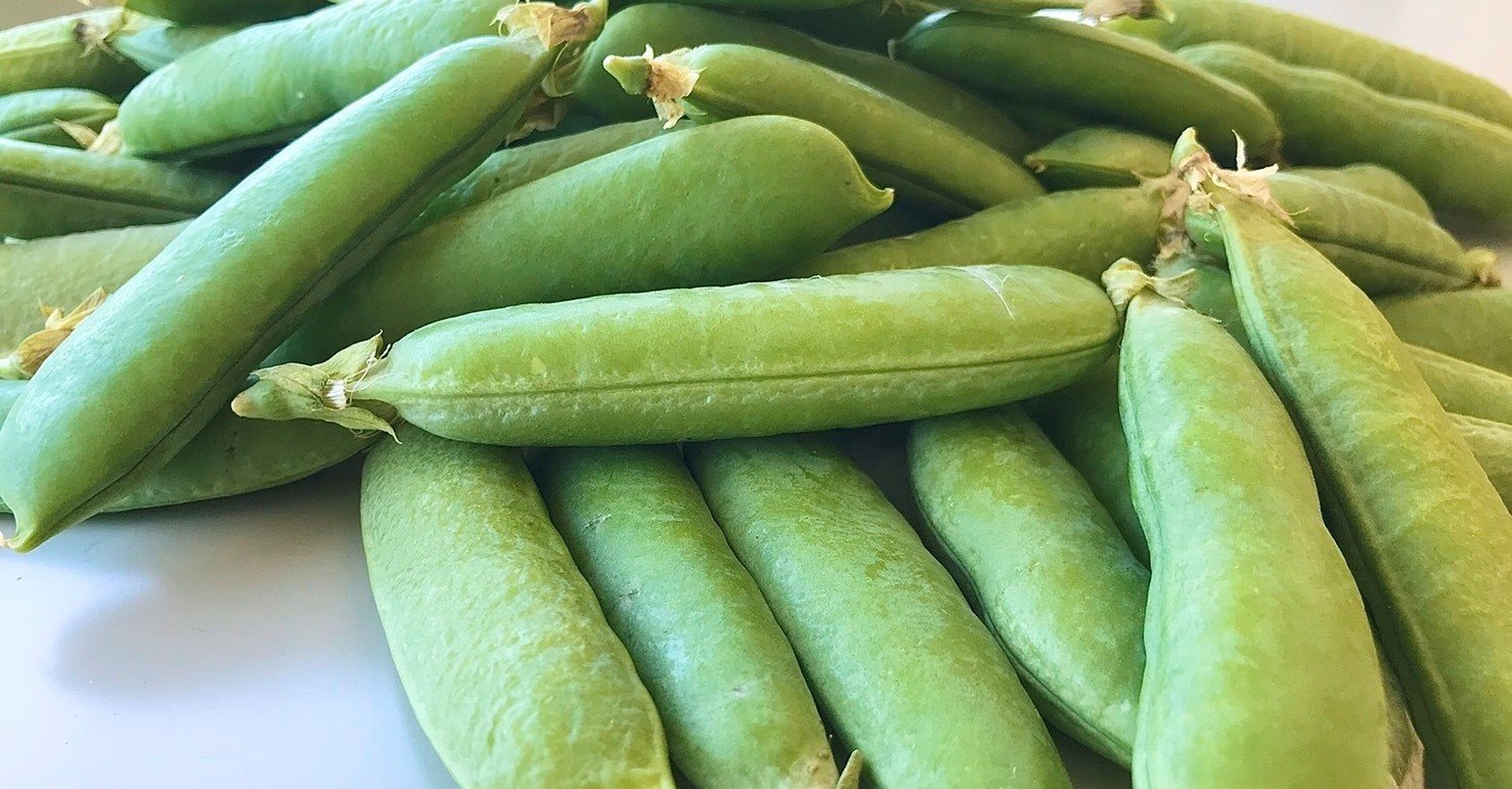 はじめての豆ごはん。｜薬局の管理栄養士[共和メディカルグループ]