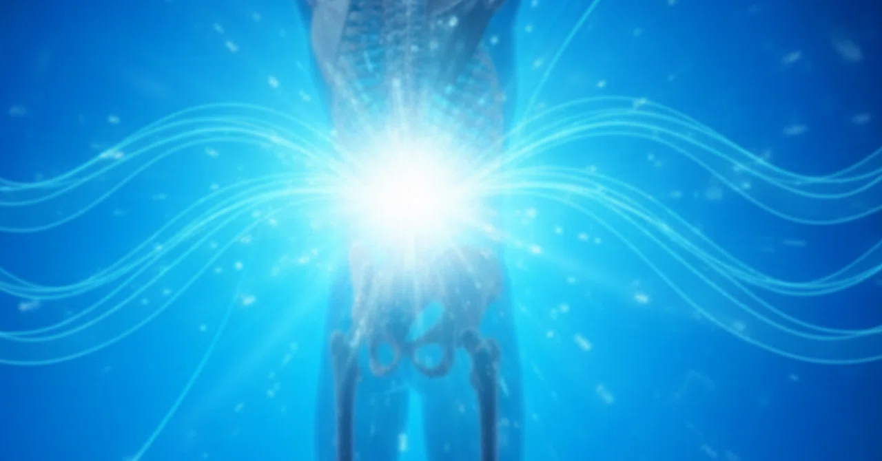 【Is it a brain bug or a survival strategy?】 5 truths we misunderstand ...
