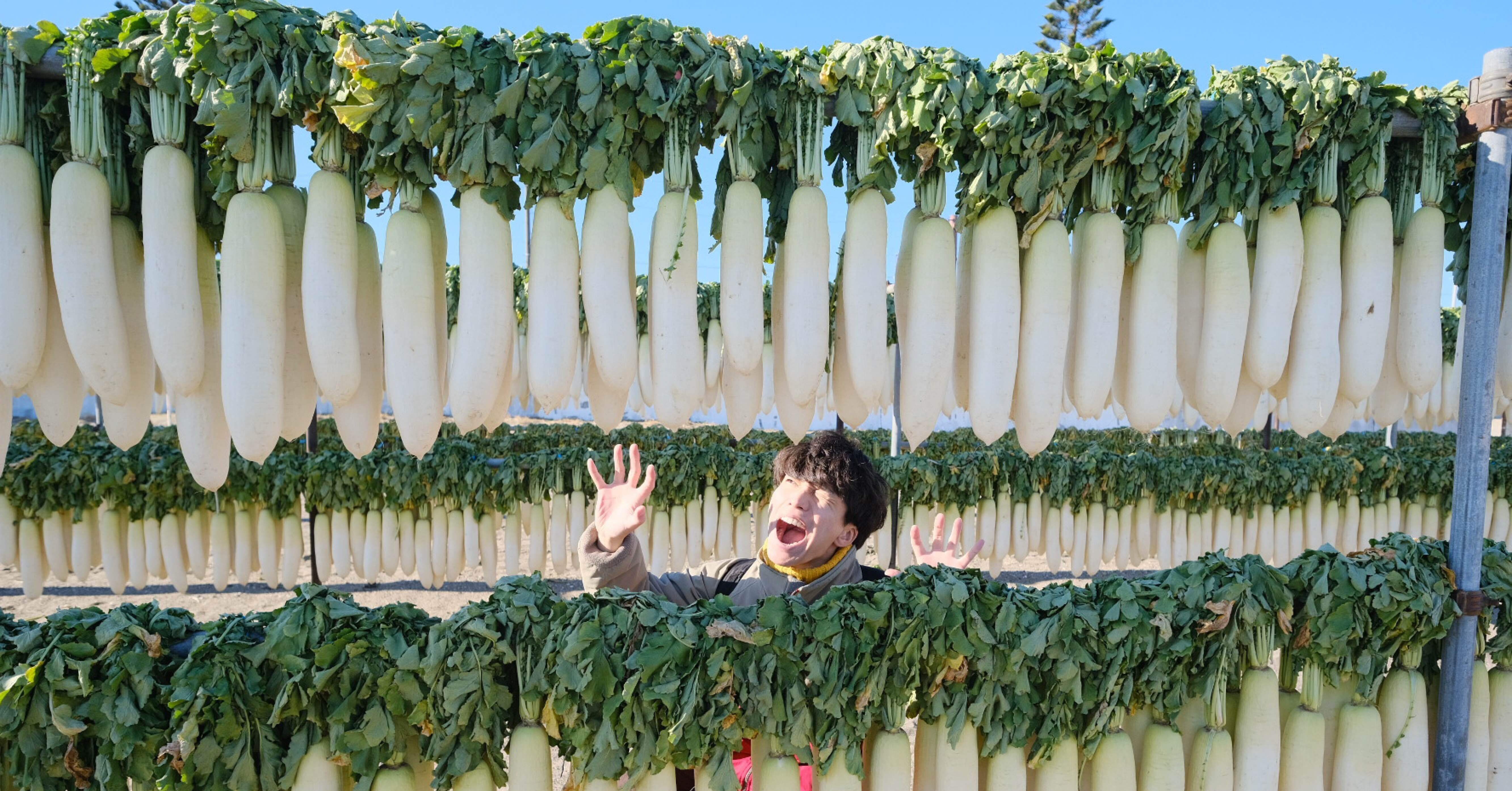 神奈川県・三浦市｜ビーチに大根が干されている風景🏝️｜aka｜旅する