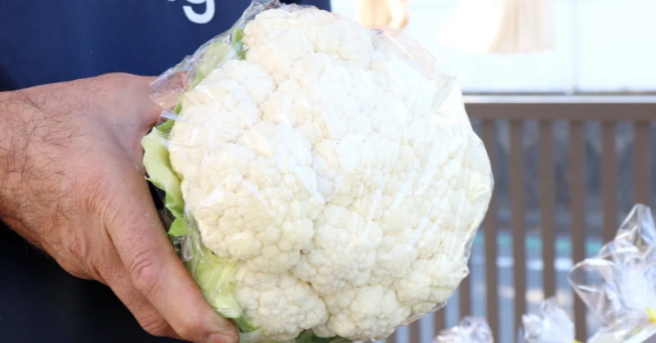 衝撃のビッグサイズ。安くて美味しいお得な「特大野菜」が買える場所は
