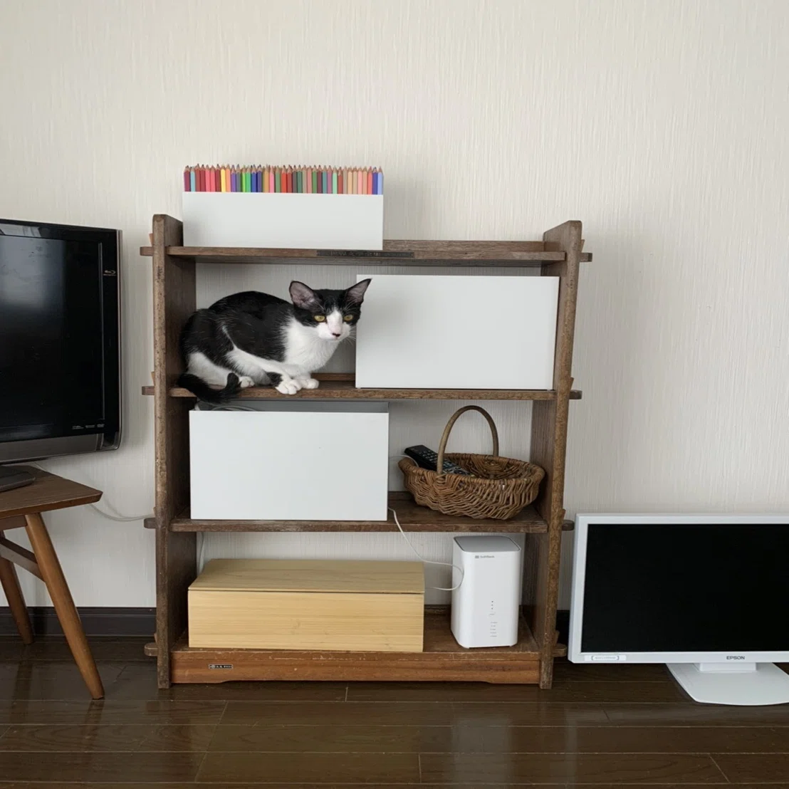 色えんぴつが500色あると、なんかしあわせ。｜フェリシモ 