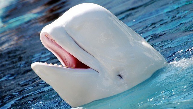 水族館