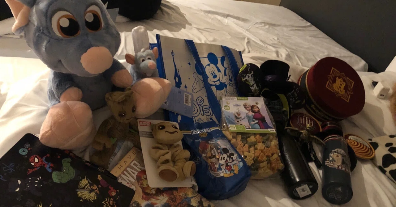 ディズニーランド・パリの2パーク1日で一気に回れ！🏰🎥お土産も買い