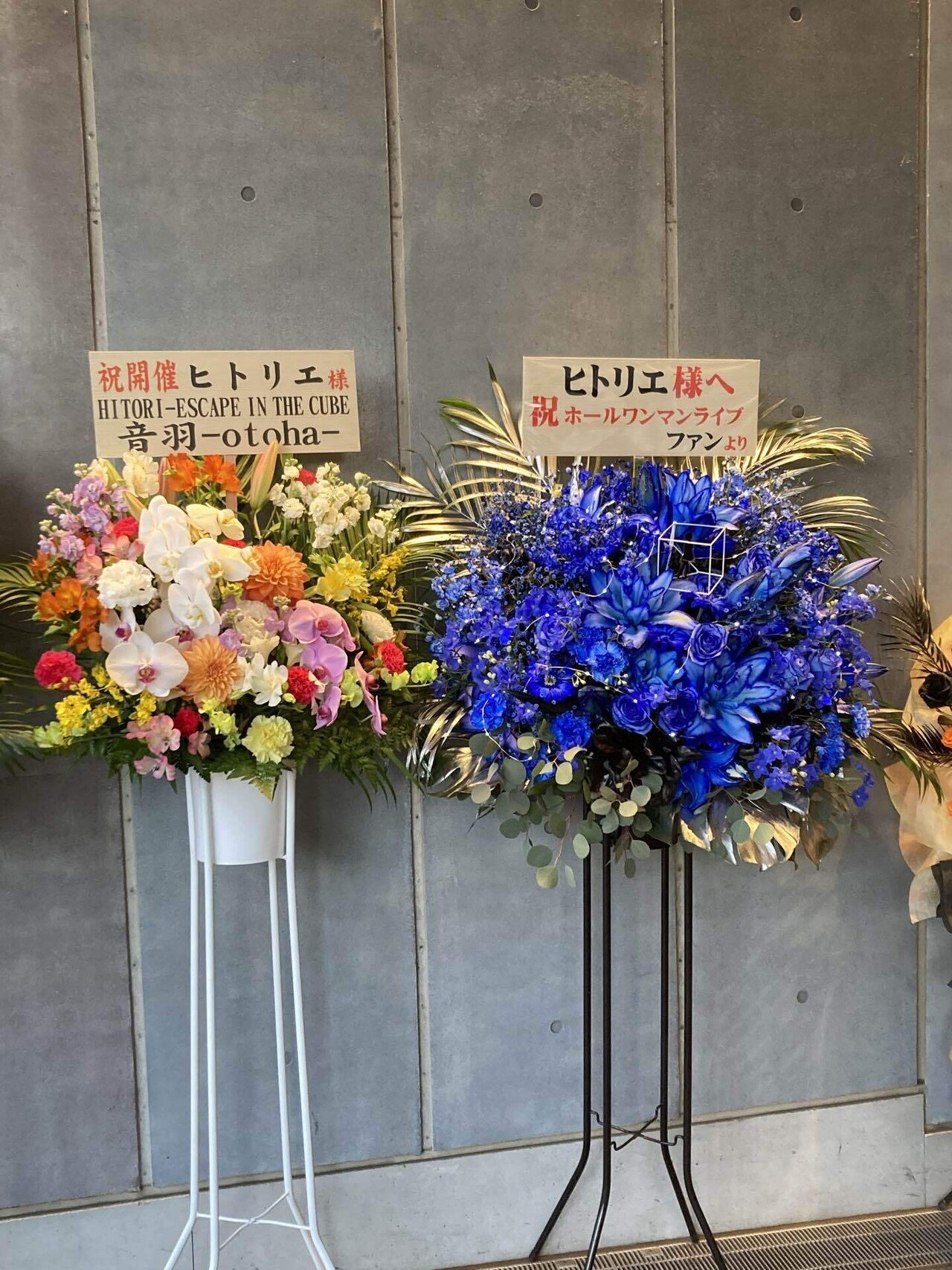 ヒトリエ 「HITORI-ESCAPE IN THE CUBE」ライブレポ｜N_B 94 Rock