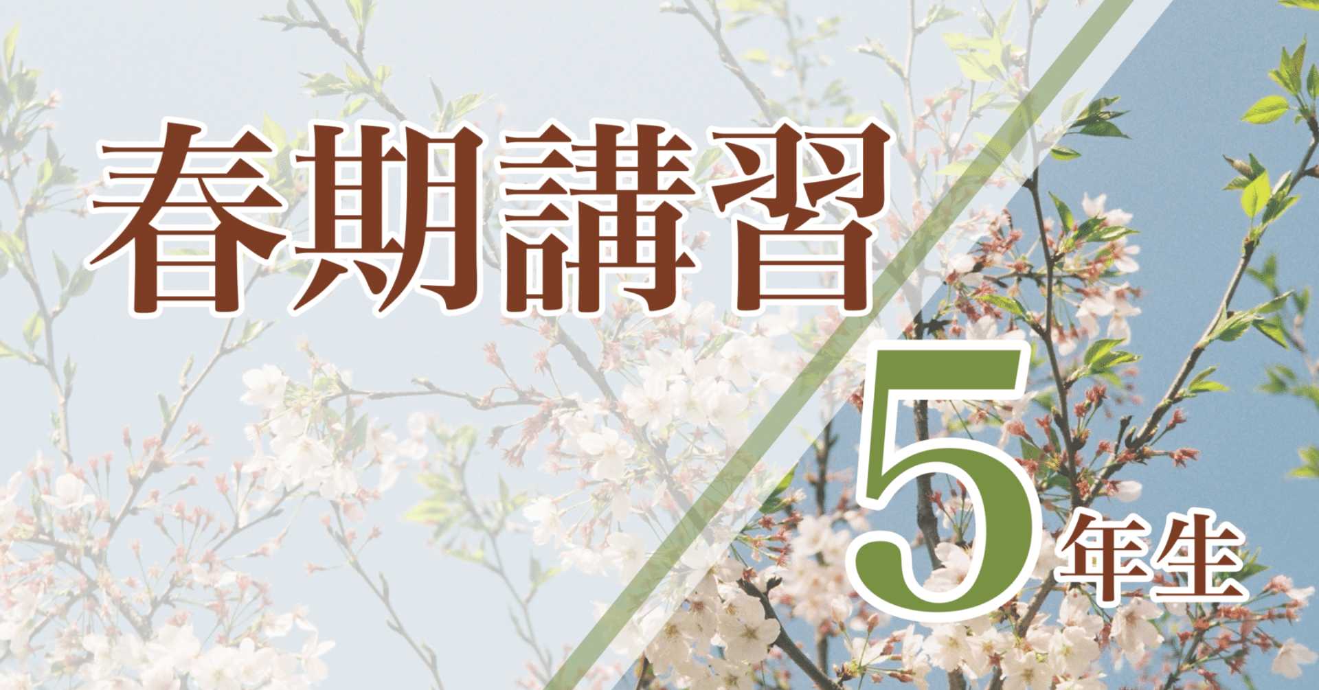 2026年】5年生春期講習のご案内｜学習塾 BOXOUT