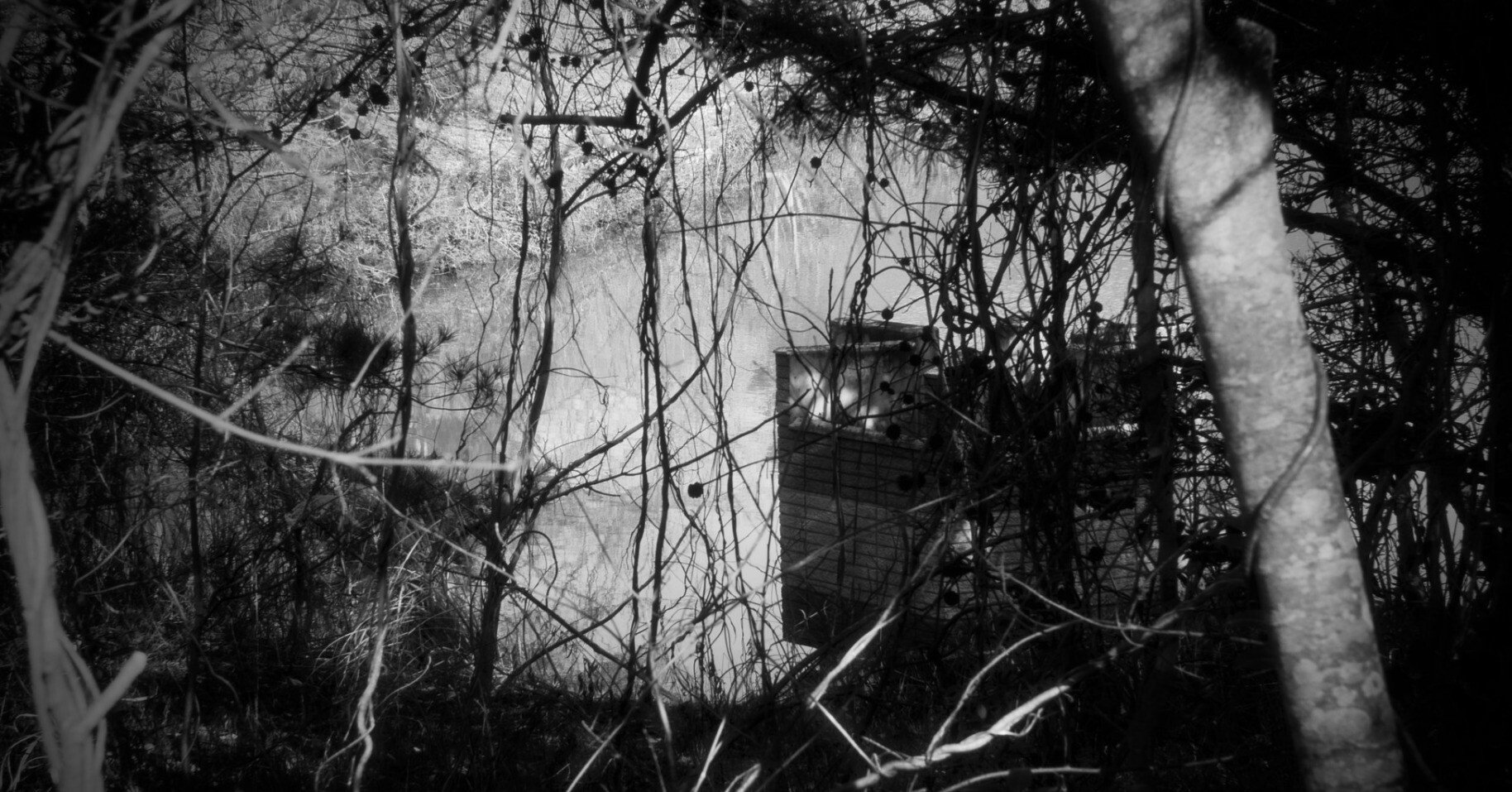 Lumix GH1の「ダイナミック（白黒）」を試す 前半｜fueda218