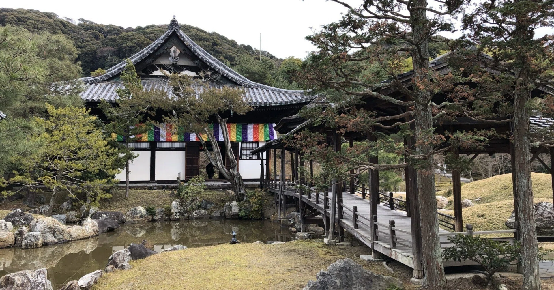 秀吉の妻ねねゆかりの高台寺｜大河ドラマ『豊臣兄弟！』にちなんだ特別