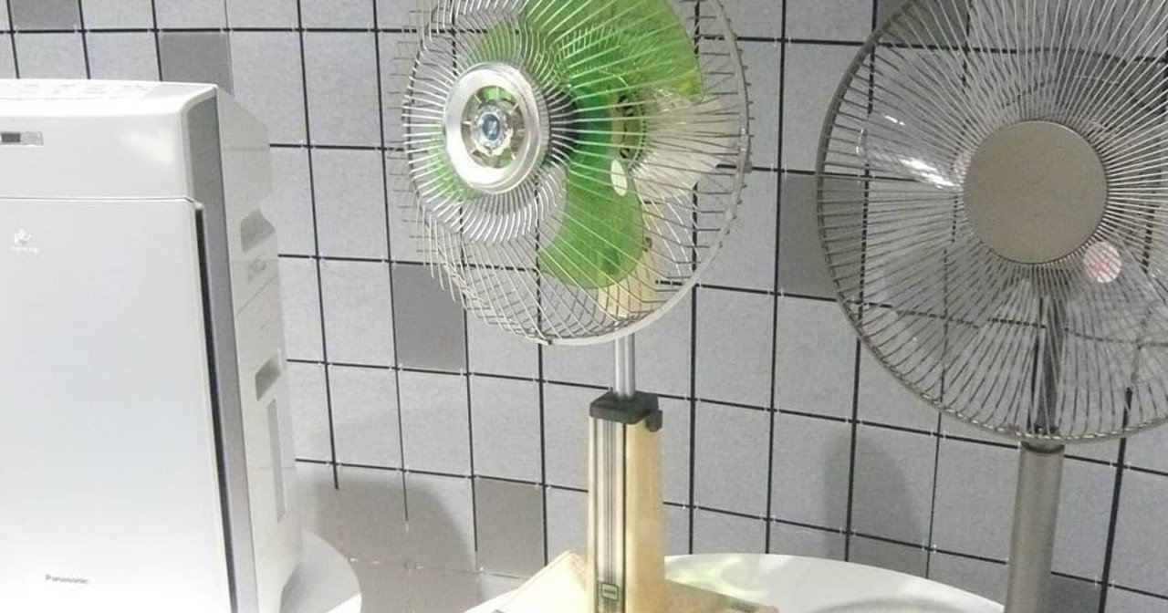ダイソンの温冷風機 こけしがお Note