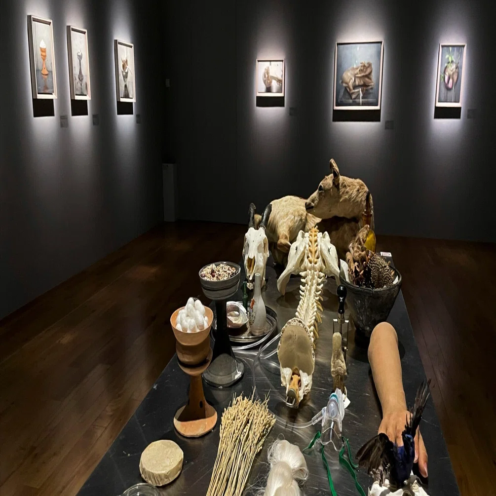 諏訪敦「きみはうつくしい」in WHAT MUSEUM｜かやは