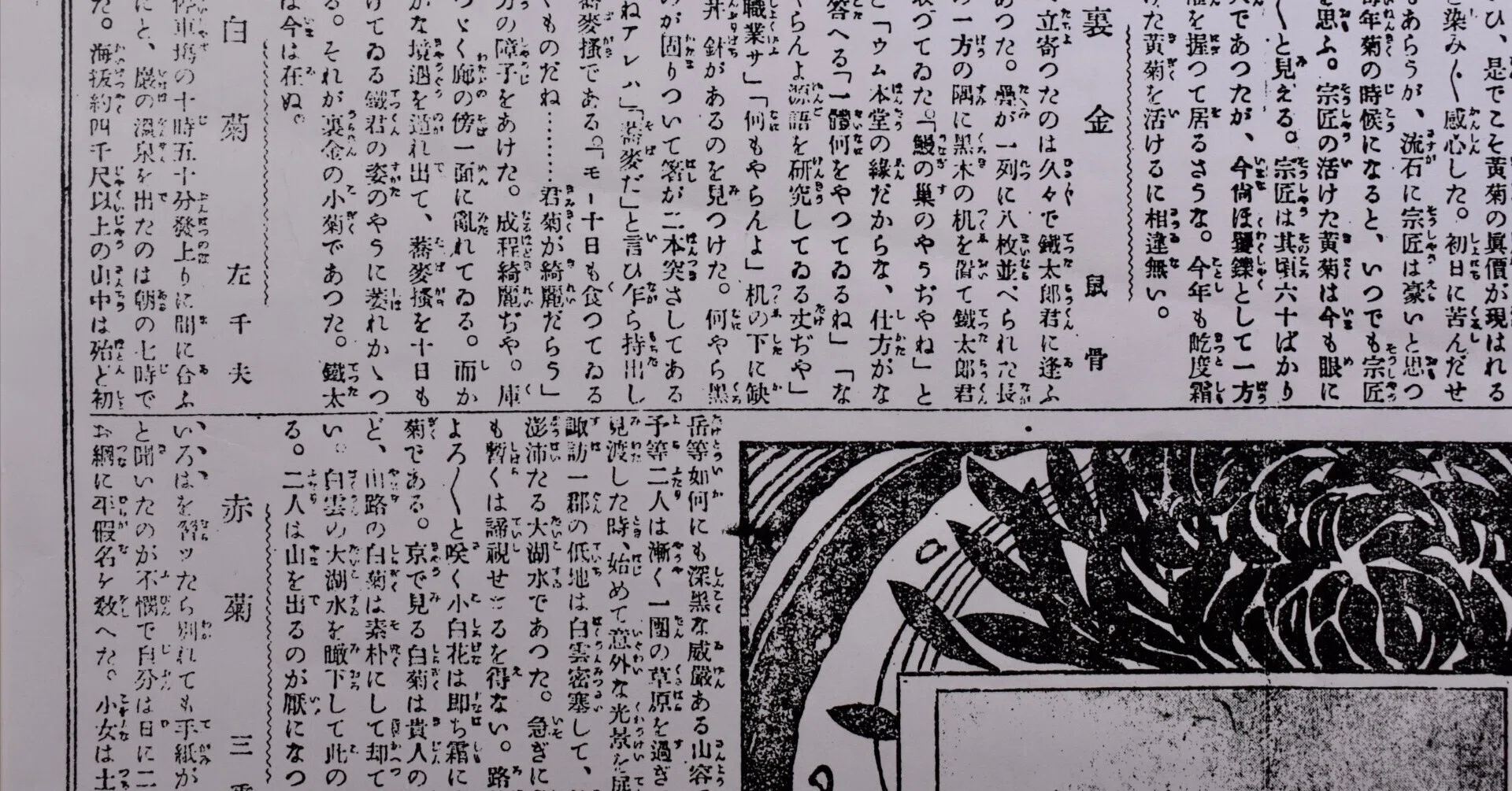 鈴木三重吉の『赤菊』:初出紙から見えてくること｜表現急行の人
