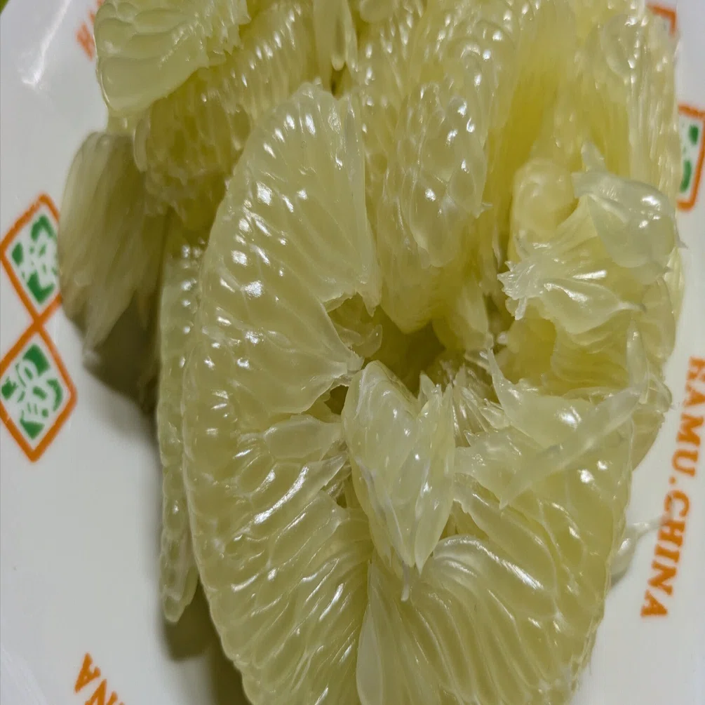 サワーポメロ（文旦∶大橘）=パール柑だった｜ときどき