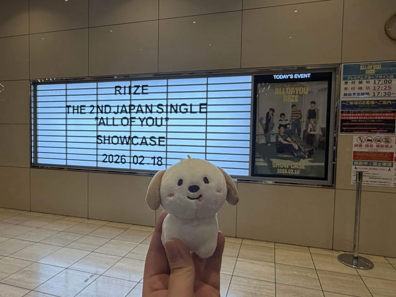 RIIZE All of You ショーケース&東京ドーム 感想｜mimu
