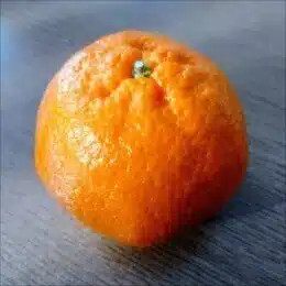 みかんやぎ