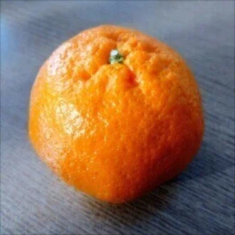 みかんやぎ