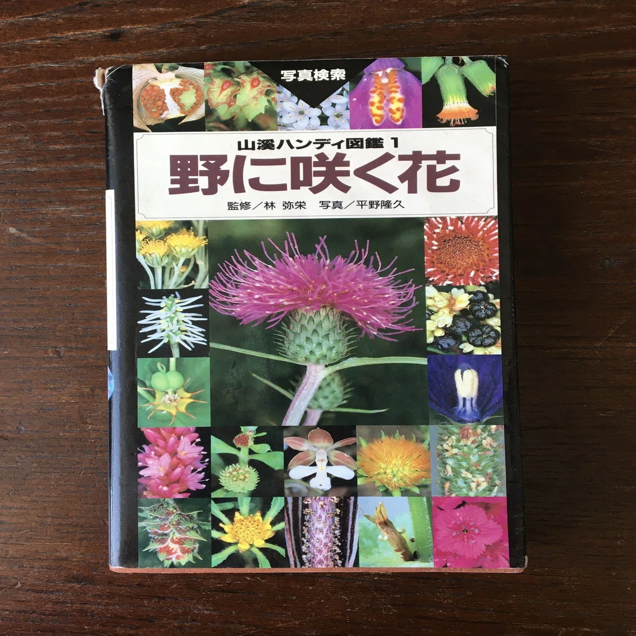Make your own herbarium: 自分の植物標本誌をつくる｜Haruka Yazaki