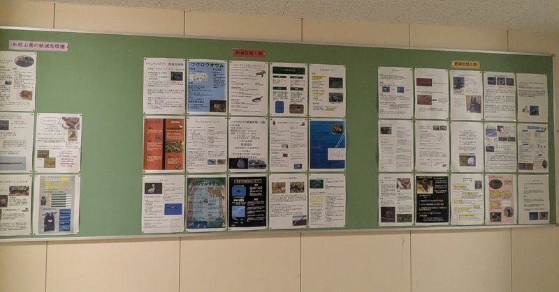 【新宮高校】２年生 生物基礎の授業で、外来種や絶滅危惧種について調べ、ポスター作成を行いました。