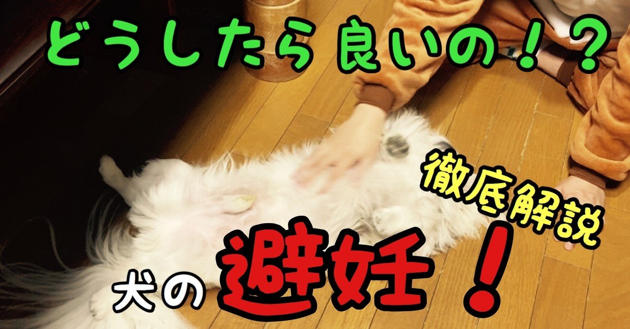 どうしたら良い 犬の避妊 徹底解説 ドッグライフサポーター 獅子パパ Note どうしたら良い 犬の避妊 徹底解説 ドッグライフサポーター 獅子パパ Note
