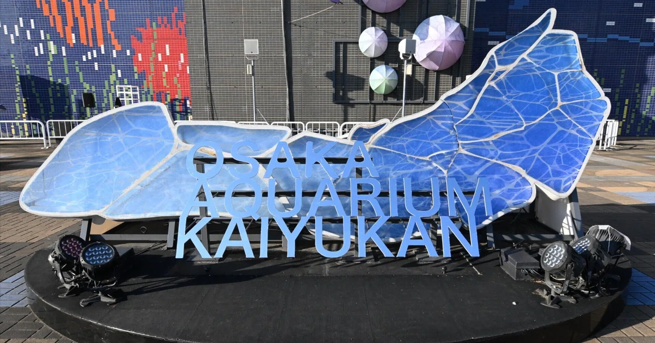 20260222_海遊館【Nikon Z50IIと水族館】｜山ネズミ