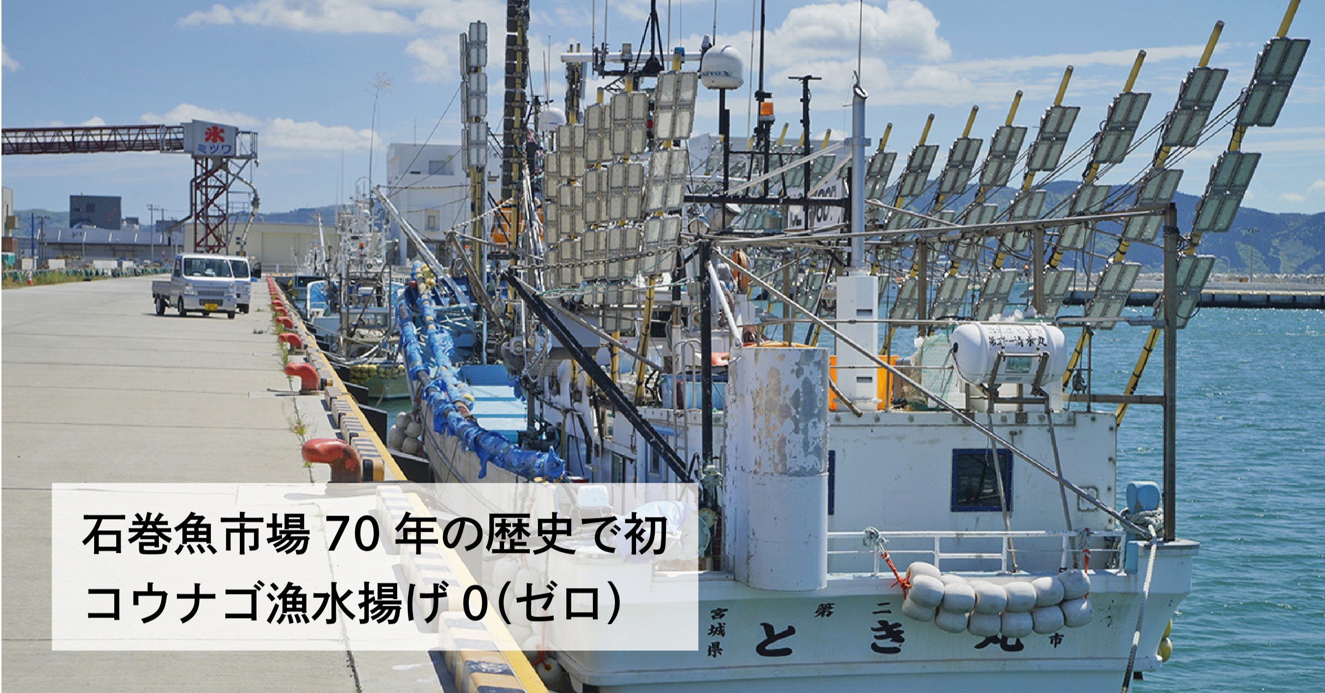コウナゴ漁水揚げゼロ 石巻魚市場 70年の歴史で初 海洋環境変化で親魚不明 石巻days 未来都市の生き方 Note