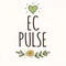 EC Pulse|モール Shopify 広告 物流 決済 AI 売上と運営のヒント