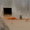 パンチ君の成長日記 🐒 