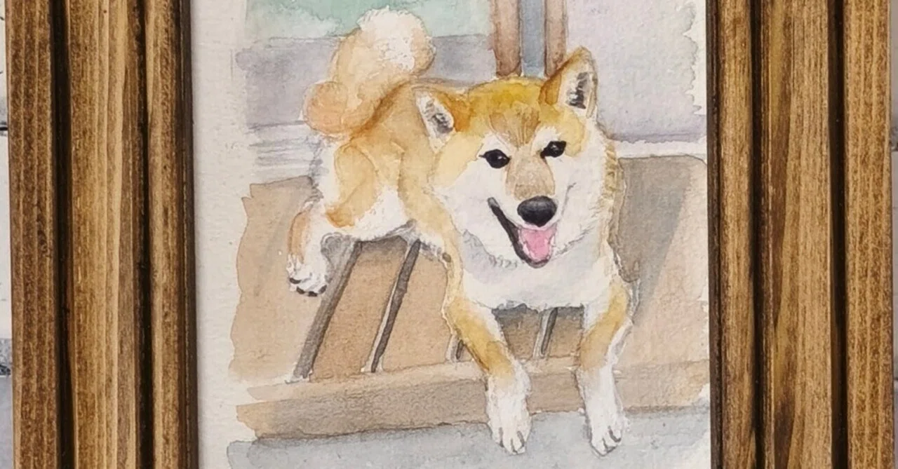 柴犬イラスト(透明水彩)｜kamo