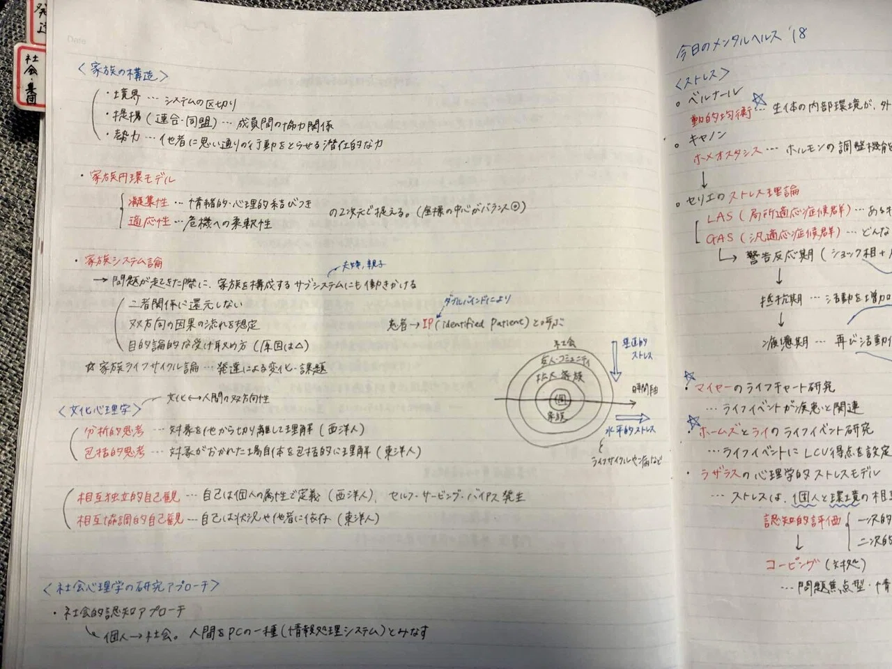 放送大学】 0歳児育児中に合格！ 公認心理師 「心理演習・心理実習 