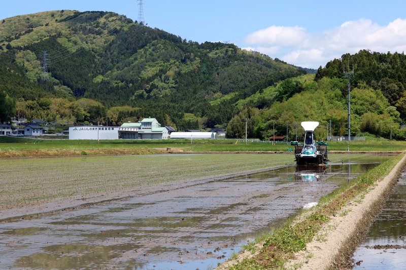 米作りを元気に楽しむ方法 田植え編 石巻days 未来都市の生き方 Note 米作りを元気に楽しむ方法 田植え編 石巻days 未来都市の生き方 Note