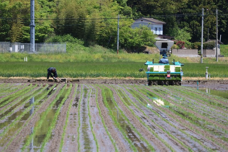 米作りを元気に楽しむ方法 田植え編 石巻days 未来都市の生き方 Note 米作りを元気に楽しむ方法 田植え編 石巻days 未来都市の生き方 Note