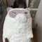 3児の父ナニモノ